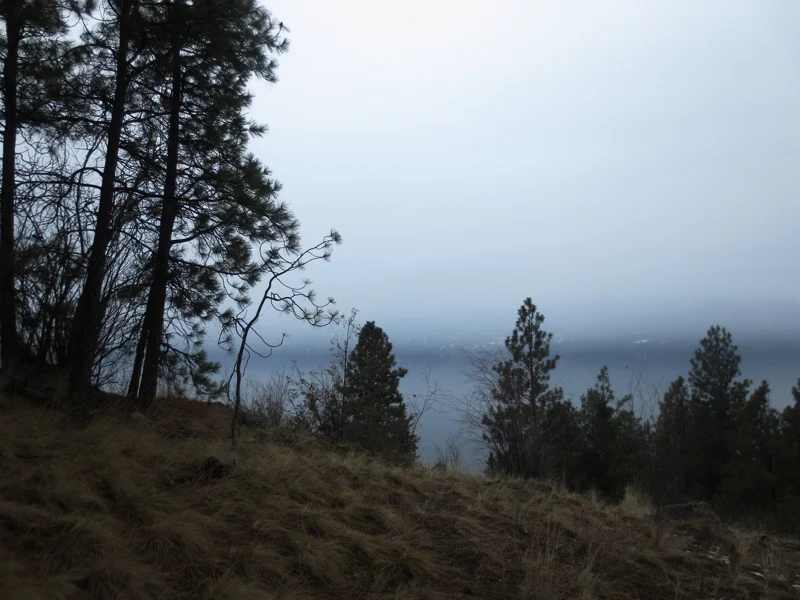 Okanagan Lake near Carr’s Landing