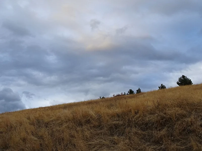Ellison countryside
