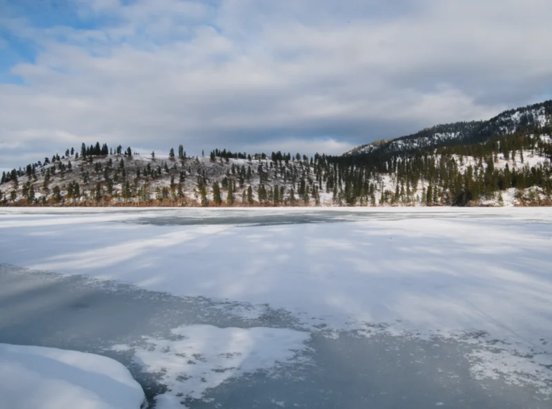 Winter at Kaloya Regional Park