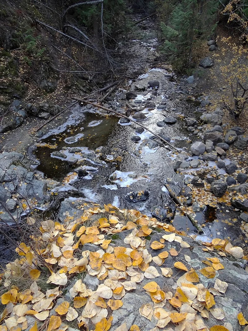 Mill Creek Regional Park