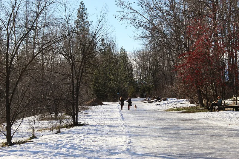 Mission Creek Regional Park