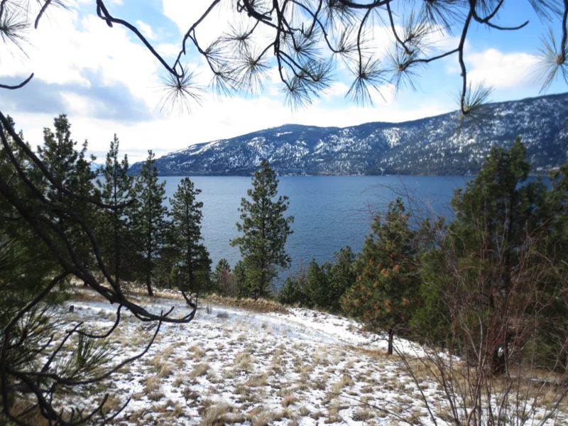 Okanagan Centre lakeshore