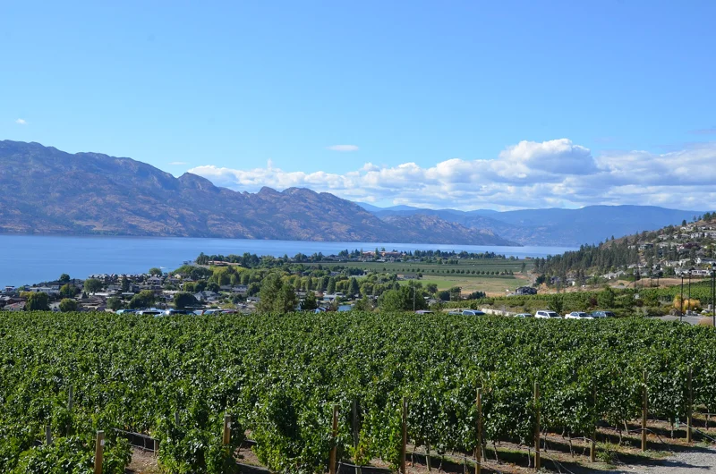 Okanagan Lake from Quails Gate